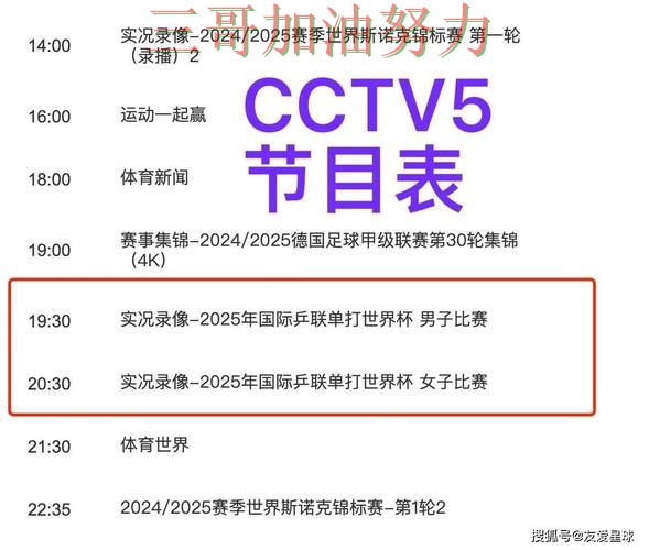 世界杯官方信息来临，世界杯买球平台赛事直播+直播与平台选择解析